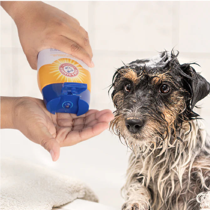 Shampoo para Cachorros