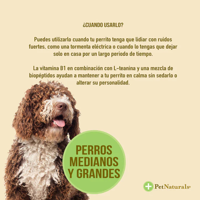 Calmantes para Perros Chicos