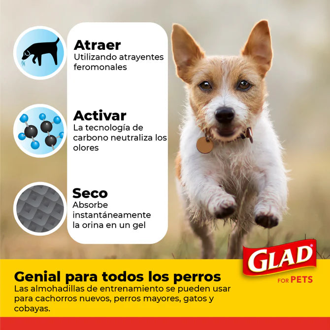 Tapete Entrenador para Perro Glad 5 Capas - 14pz