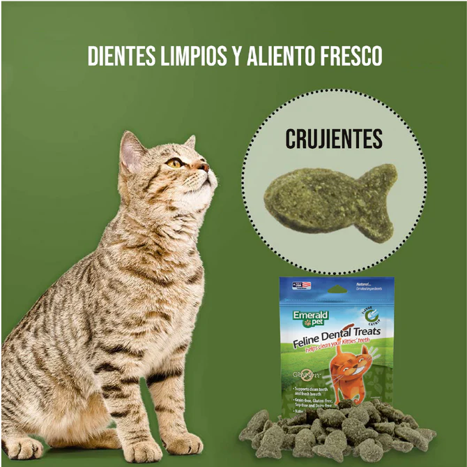 Premios para Gatos Dental Treats - Sabor Catnip - Fresh Pack 312gr