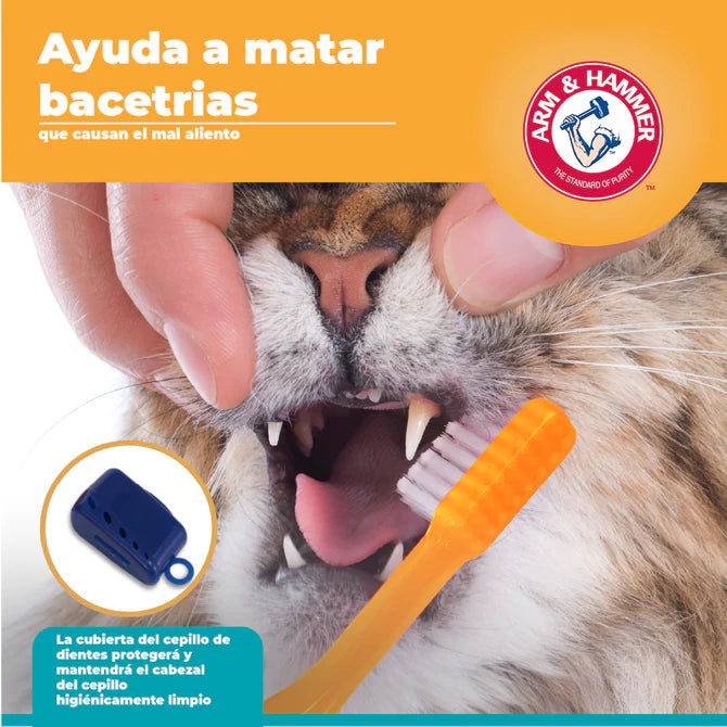 Kit Pasta Dental con Cepillo para Gato - 3pzas