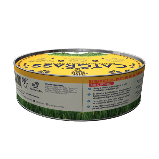 Cat Grass Mix Avena y Cebada, Pasto para Gatos y Perros
