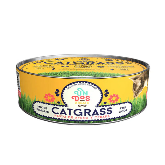 Cat Grass Mix Avena y Cebada, Pasto para Gatos y Perros