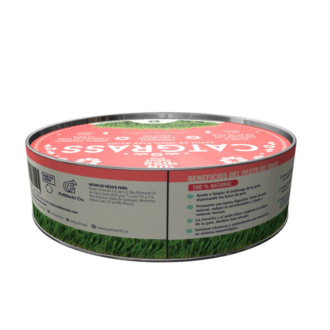 Catgrass de Trigo, Pasto para Gatos y Perros