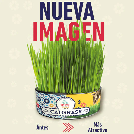 Cat Grass Mix Avena y Cebada, Pasto para Gatos y Perros