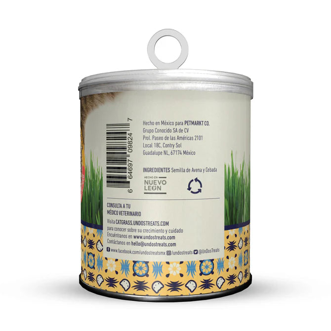 Catgrass seeds semillas de avena y cebada para Gatos