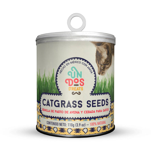 Catgrass seeds semillas de avena y cebada para Gatos